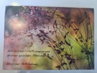 ein Bild aus dem Album